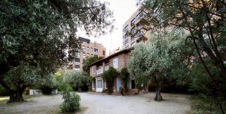 Fundación Olivar de Castillejo