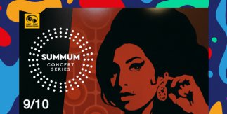 The Amy Winehouse Band Tour 