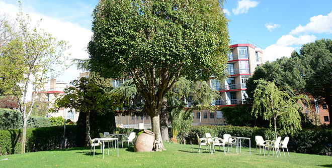 Colegio Mayor Mendel