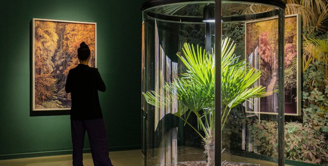 Yann Gross, 2026, La Casa Encendida