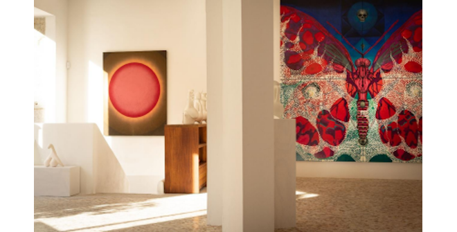 Galería Plaza del Gato