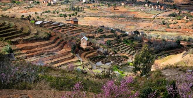 Tonga Soa, Madagascar», de Katy Gómez