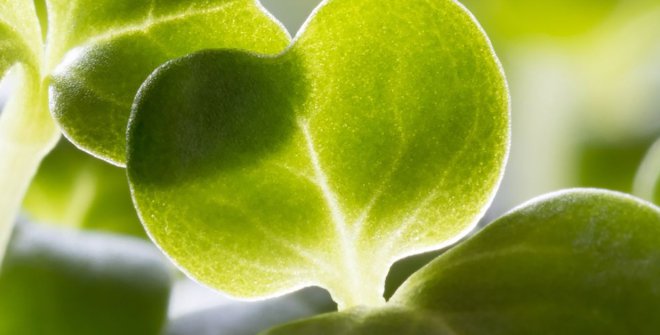 Me, myself & I, solos en estado de germen