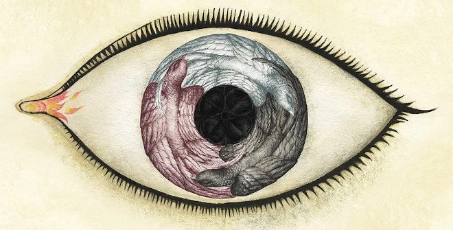 Wunderkammer. Ana Juan