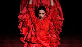 Emociones: Espectáculo Flamenco