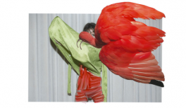 Viviane Sassen. Eudocimus Ruber, 2017 © Viviane Sassen