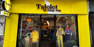Triolet Vintage Shop
