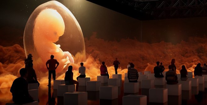 Human Universe - The Experience