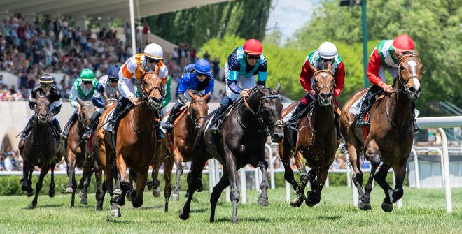 Carreras de caballos en el Hipódromo de La Zarzuela