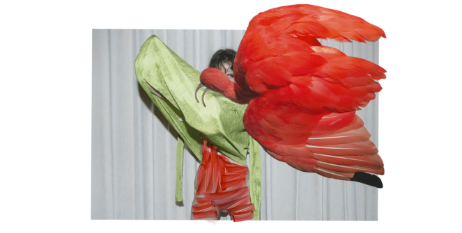 Lux &amp; Umbra. Viviane Sassen (PHotoESPA&Ntilde;A 2026)