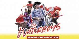 The Waterboys