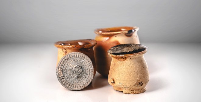 De brebajes y serpientes