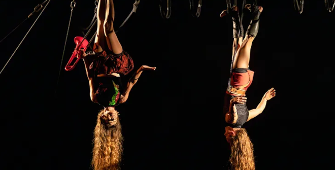 Cíclicus - Vetus Venustas