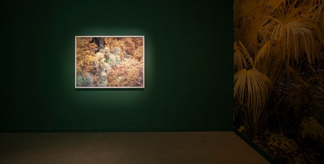 Yann Gross, 2026, La Casa Encendida