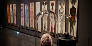 Wunderkammer. Ana Juan