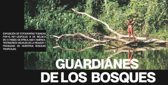 Guardianes de los bosques