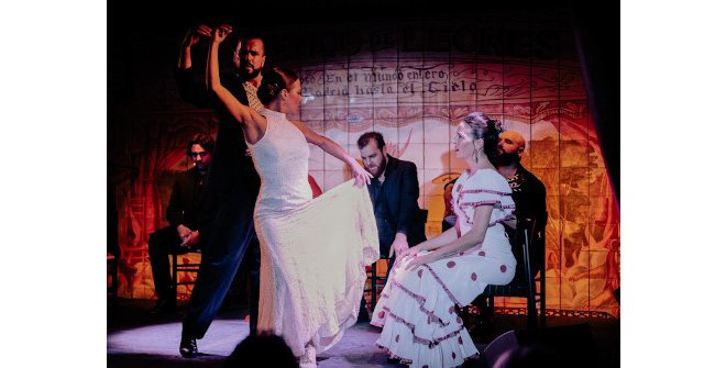 Flamenco de Leones