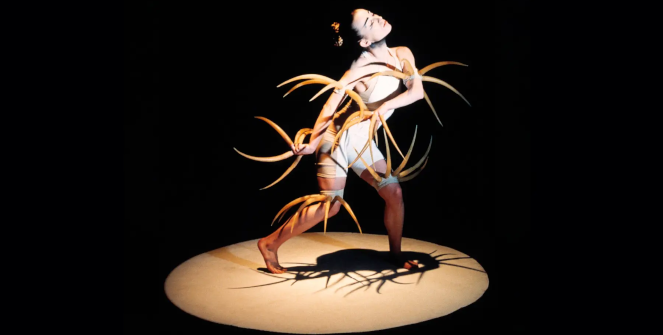 Festival Madrid en Danza 2027