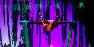 El libro de la selva: El Musical