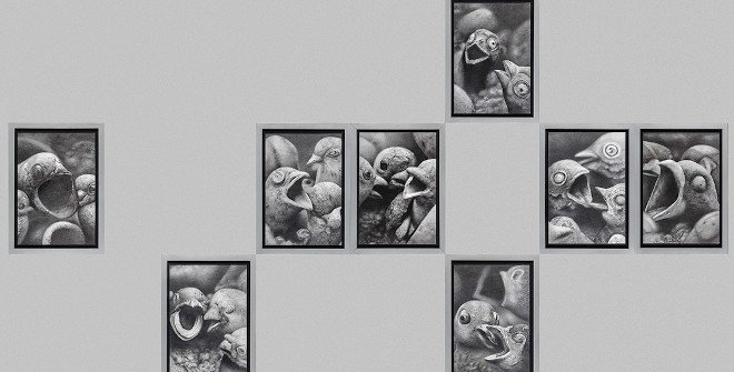 Sebastián Bona. ¿Qué parte salvaje de mí actúa antes que mi voluntad?, 2025. Grafito. Dibujo. España, Certamen de Dibujo, 2025. Primer Premio