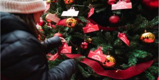 El Bosque de los Deseos