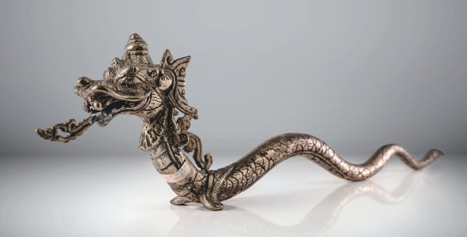 De brebajes y serpientes