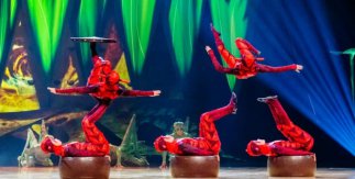 OVO - Cirque du Soleil