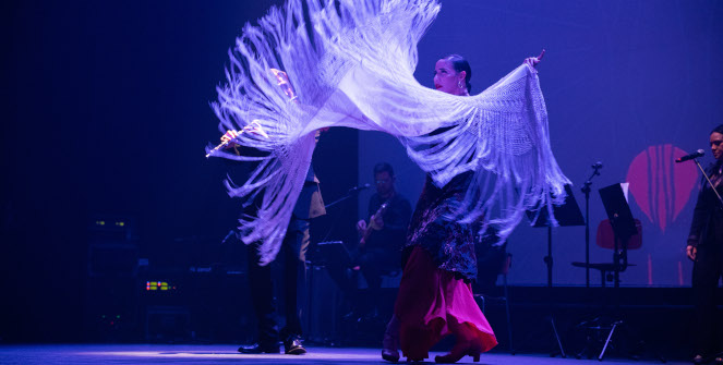 Gitana en Nueva York (Flamenco sin fronteras)
