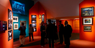 Expresionismo. Un arte de cine