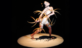 Festival Madrid en Danza