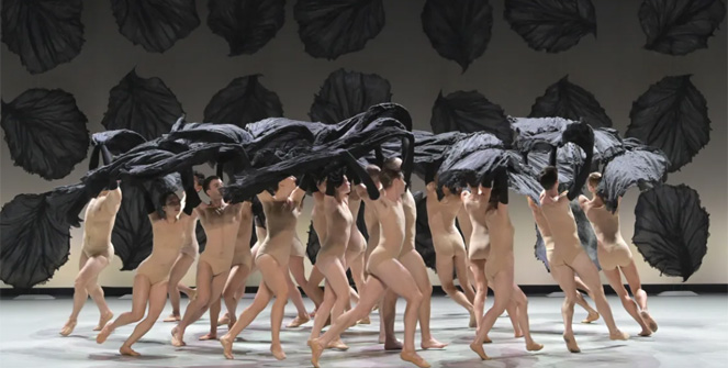 Les Saisons. Malandain Ballet Biarritz | Tourism Madrid