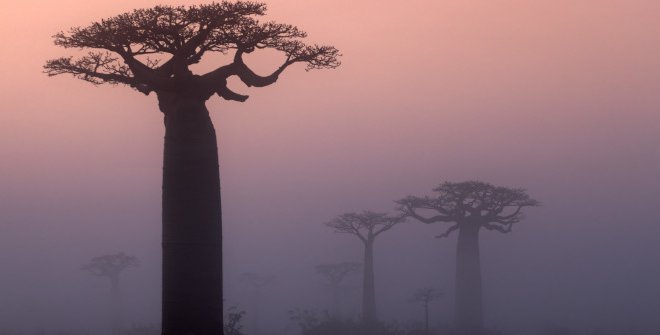 Tonga Soa, Madagascar», de Katy Gómez