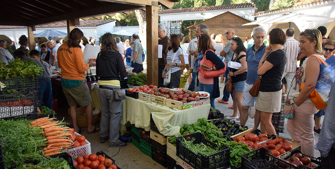 D&iacute;a de Mercado de la C&aacute;mara Agraria
