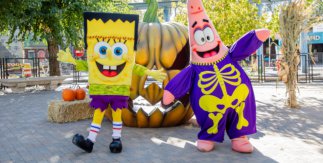 Parque Atracciones Halloween
