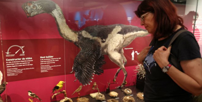 Dinosaurios entre nosotros