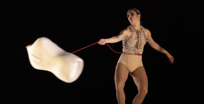 Ave de plata. Sara Jiménez © Ana Palma