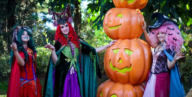 Brujas en Halloween en Parque Warner