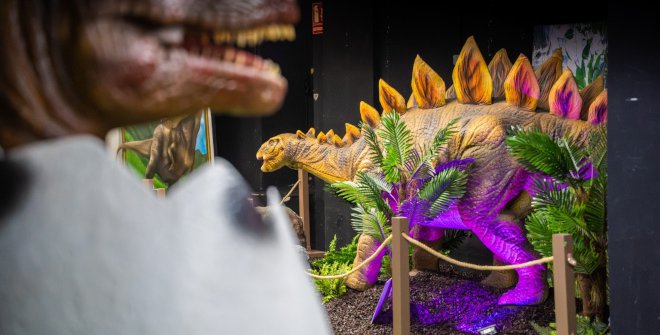 Dino Kids Experience