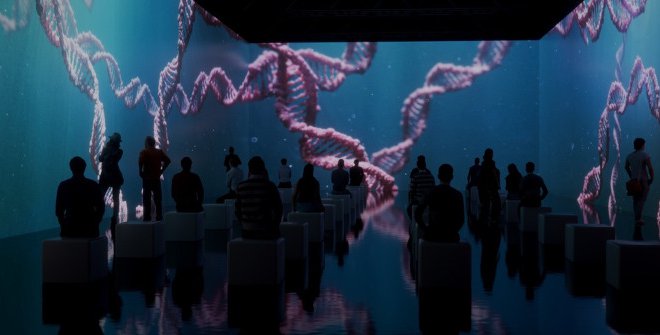 Human Universe - The Experience