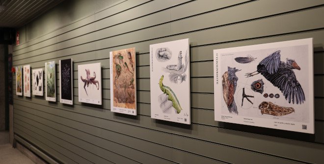 Illustraciencia 13