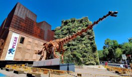 Dinosaurios de la Patagonia