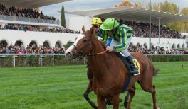 Carreras en el Hipódromo de la Zarzuela (Temporada de primavera)