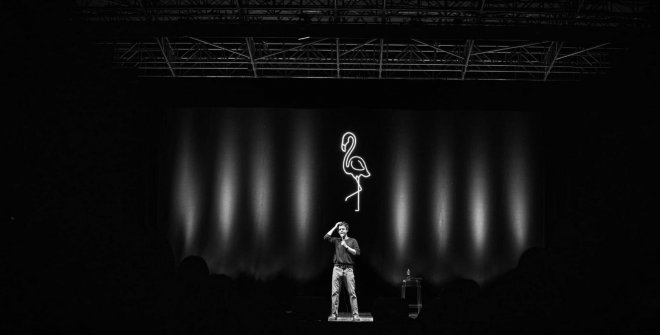 Flamingo - Luca Ravenna