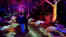 Naturaleza Encendida: INSECTOS. Navidad 2023