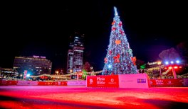 Pista de hielo de Colón Javier Fernández Pista de hielo de Colón Javier Fernández