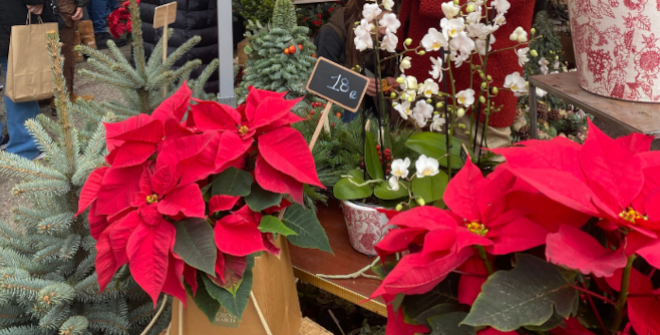 Mercado de las Flores de VOGUE - Edición Navidad 
