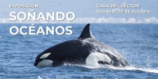 Soñando océanos