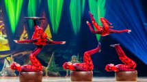 OVO - Cirque du Soleil