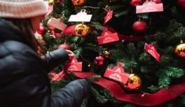 El Bosque de los Deseos El Bosque de los Deseos