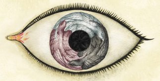 Wunderkammer. Ana Juan